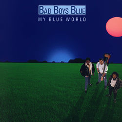 Bad Reputation album art