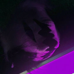 Playa album art