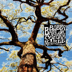 Don't Go To Chattanooga album art