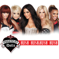 Hush Hush (i Will Survive Remix) album art
