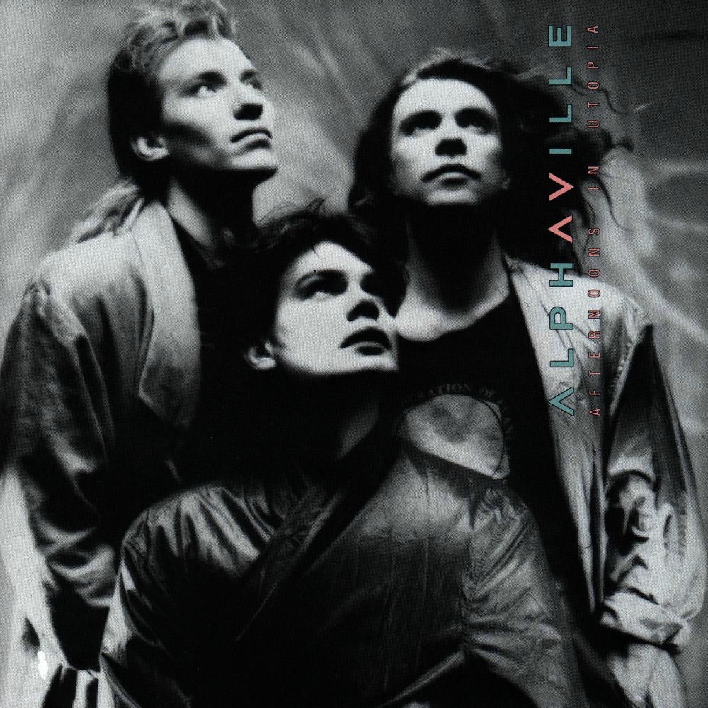 Red Rose album art