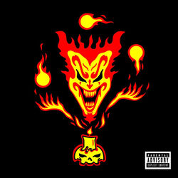 The Shaggy Show album art