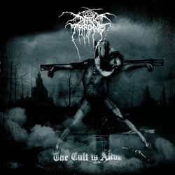 Too Old, Too Cold album art