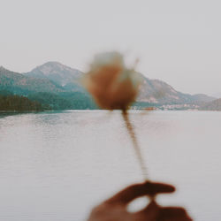 I'm In Love album art