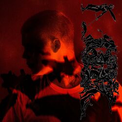 Live And Learn album art