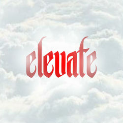 Excellence album art