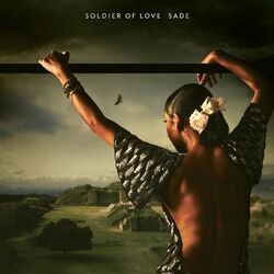 Skin album art