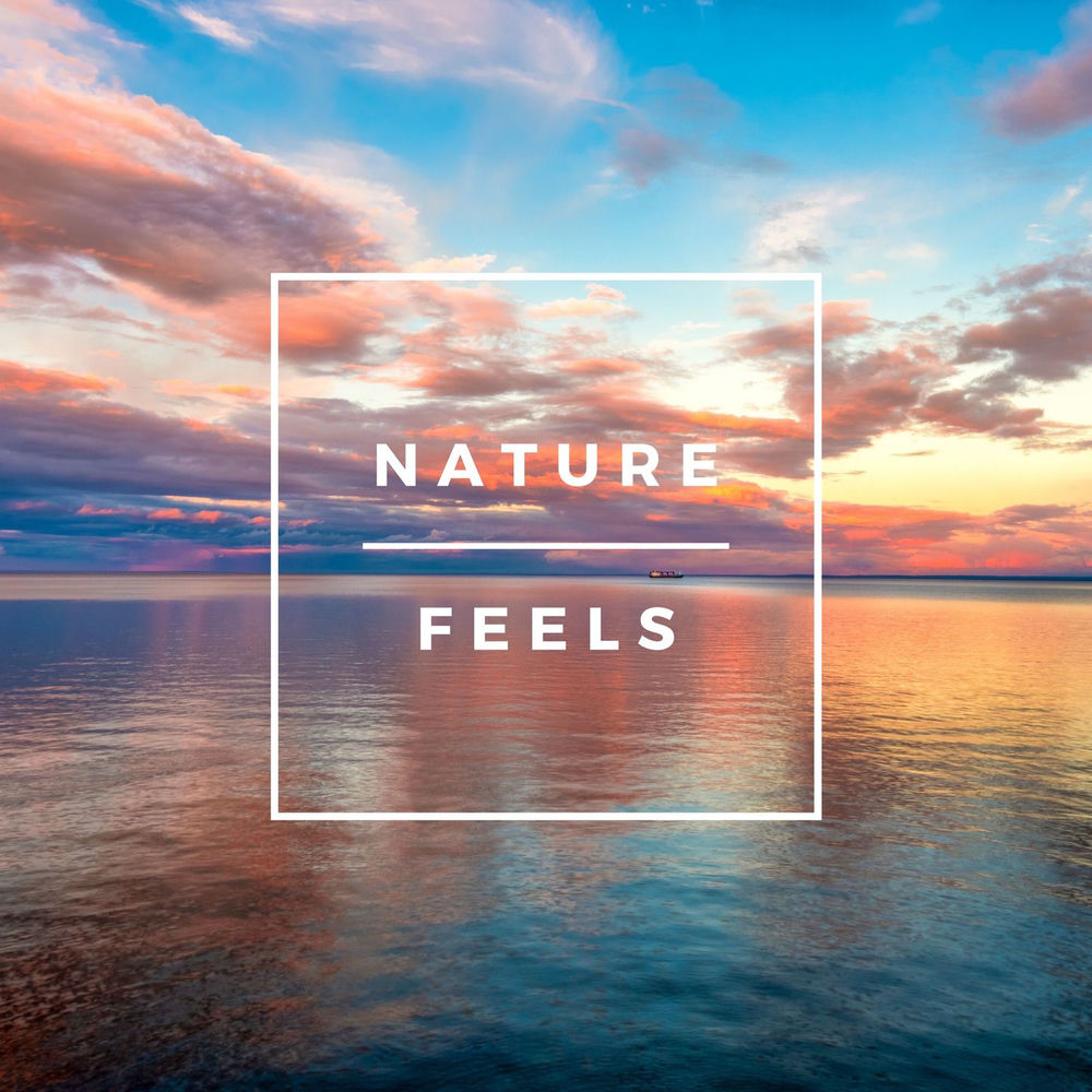 Nature Feels album art