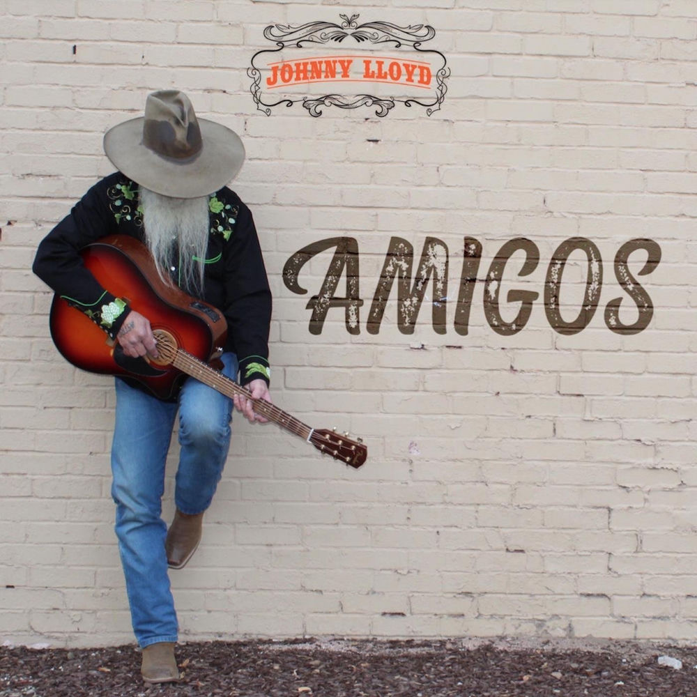 She's Gone album art