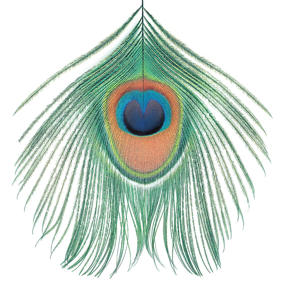 I'd Like That album art