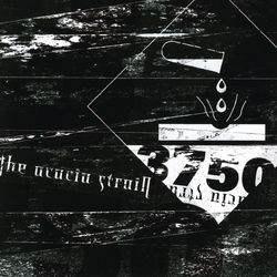 Drawn And Quartered album art