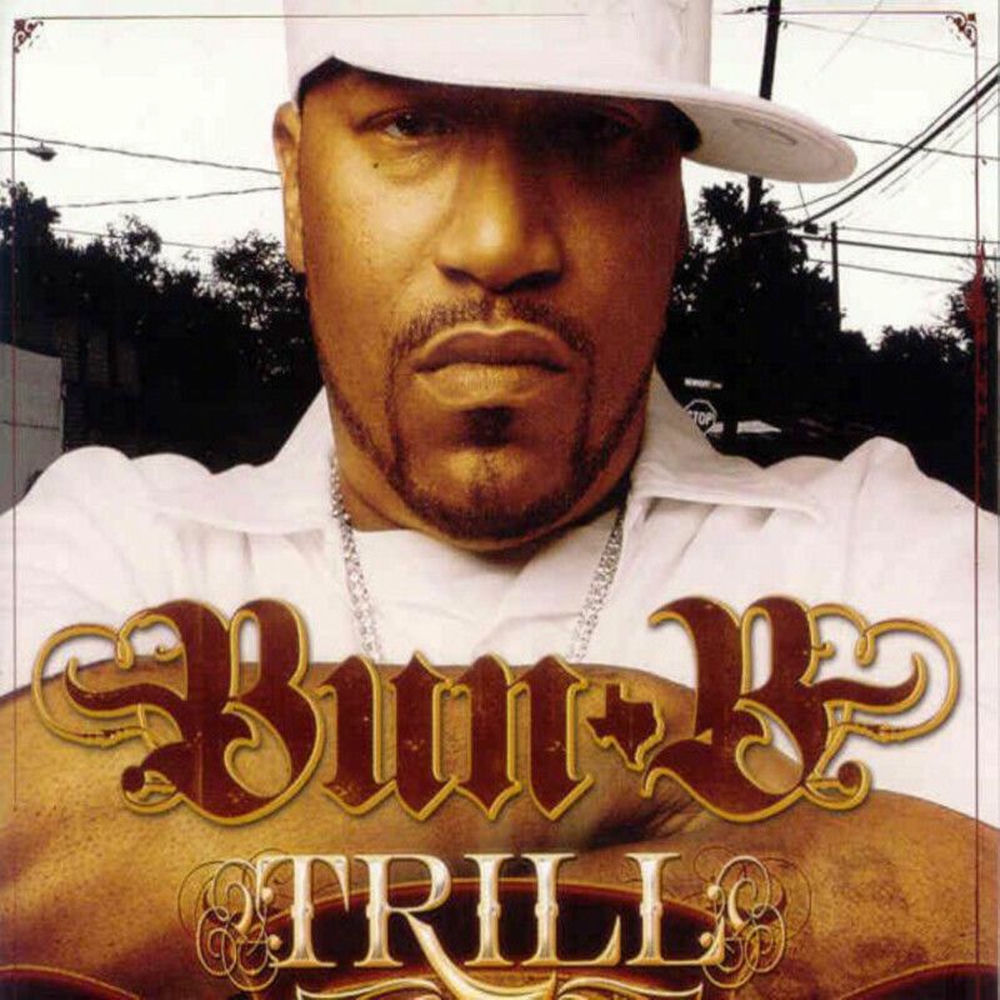 Draped Up [h-town mix] (feat. The H-Town All Starz) (Album Version) album art