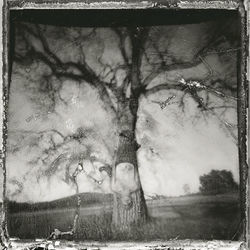 Independence Day album art