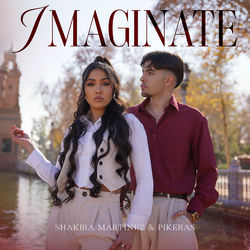 Imagine album art