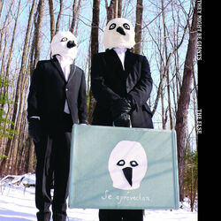 Bee Of The Bird Of The Moth album art