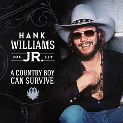 A Countryboy Can Survive album art