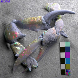 Never Be Friends album art