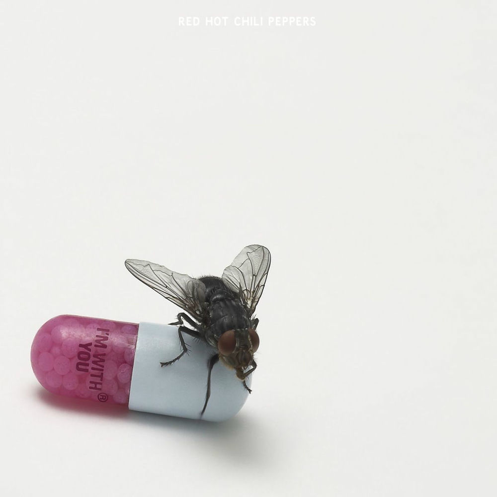 Happiness Loves Company album art