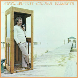 The Weather is Here, Wish You Were Beautiful album art
