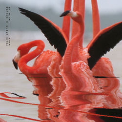 Walk With Me album art