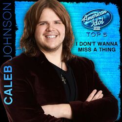 I Don't Want To Miss A Thing album art