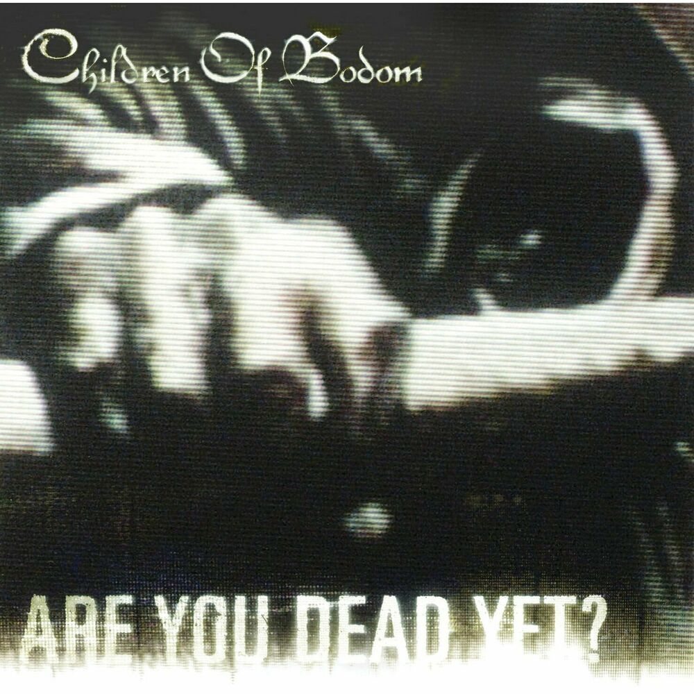 We're Not Gonna Fall album art