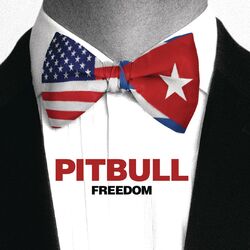 Freedom album art