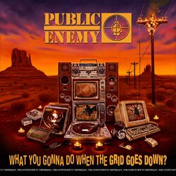 What You Gonna Do album art