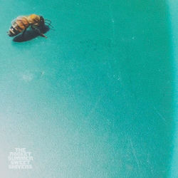Light album art