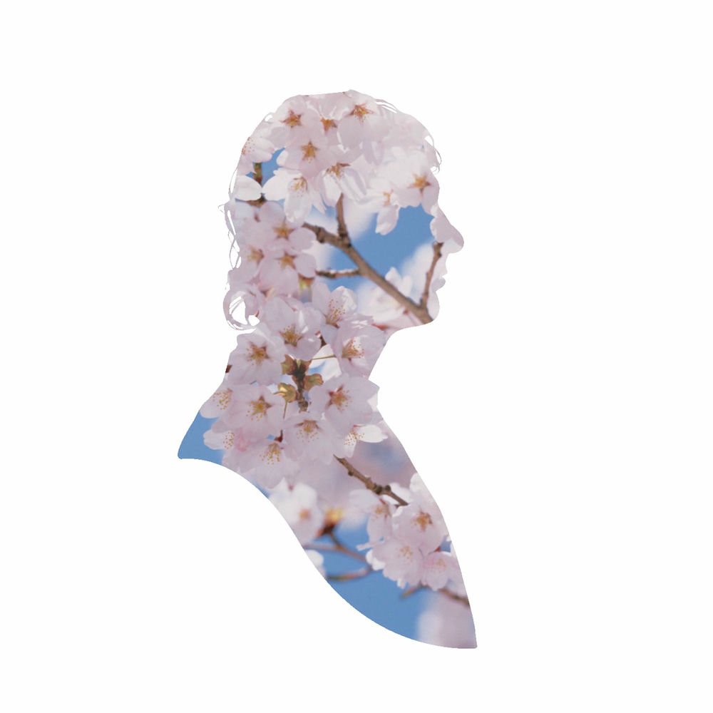 We're The Pet Shop Boys album art