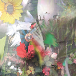 Explain Yourselves #2 album art