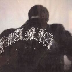 Envy album art