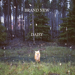 Noro album art