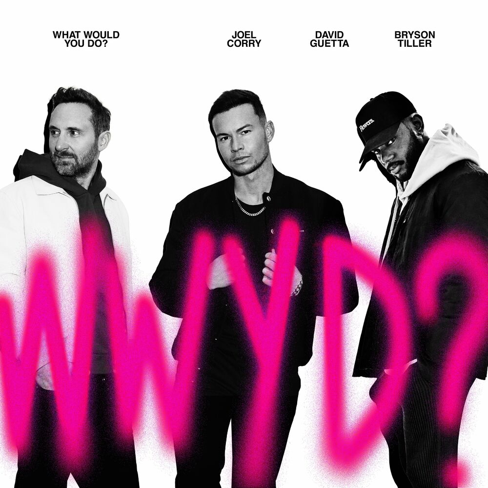 What Would You Do album art