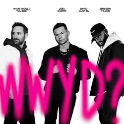 What Would You Do album art