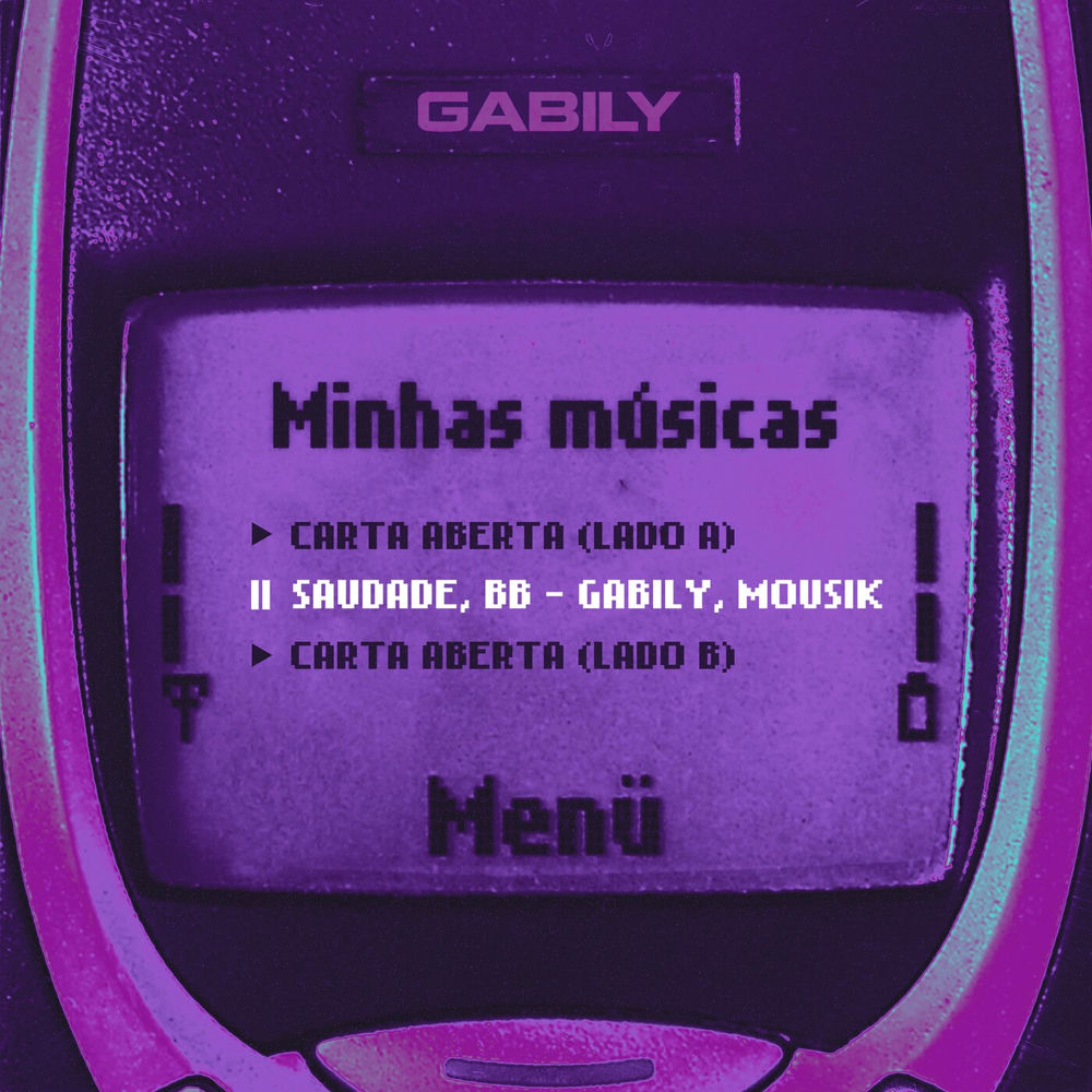Fly album art