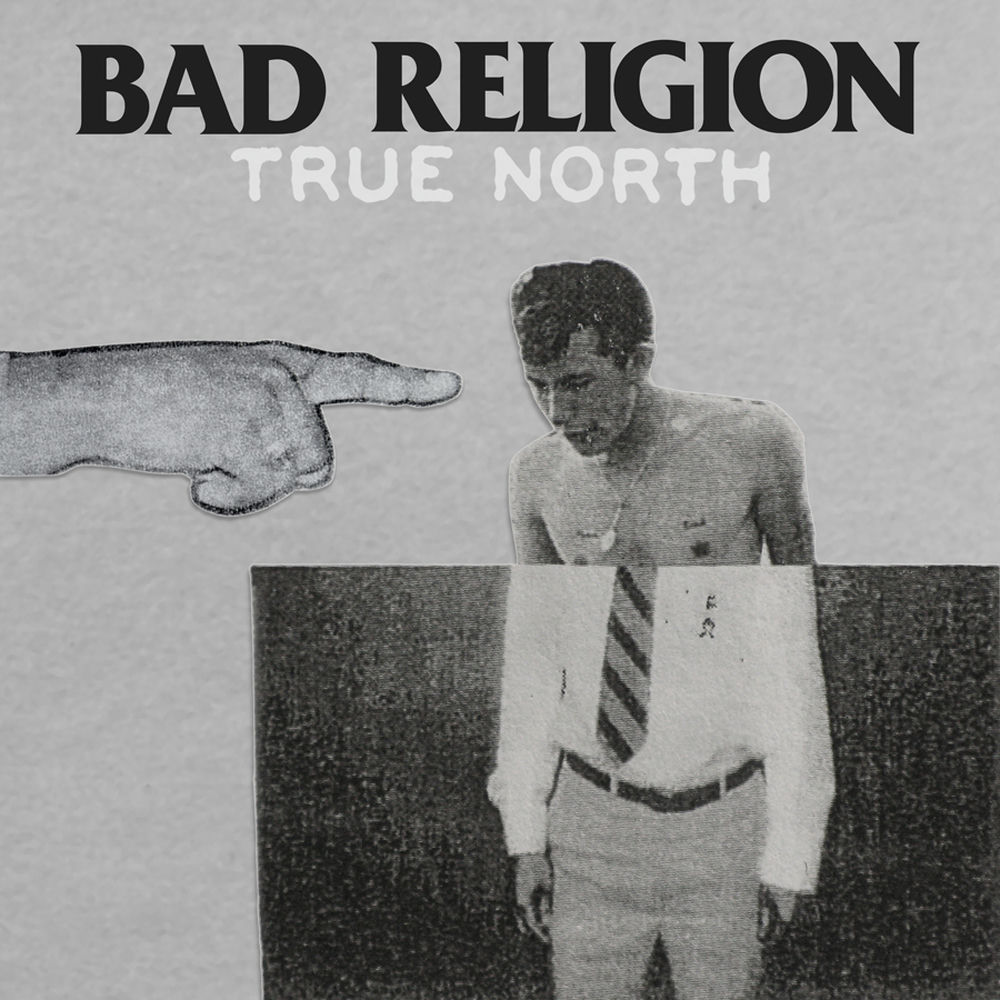 Nothing To Dismay album art