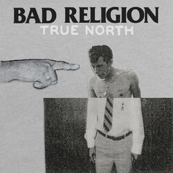 Nothing To Dismay album art