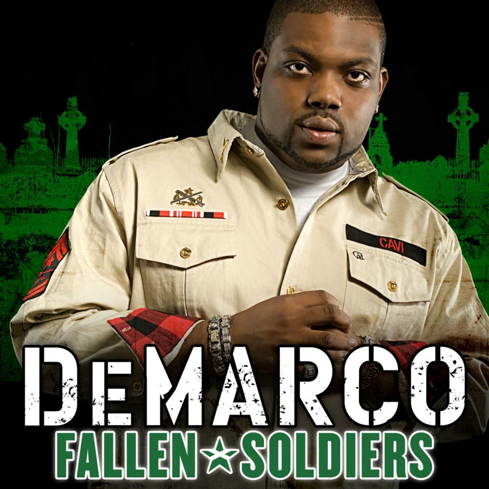 Fallen Soldiers album art