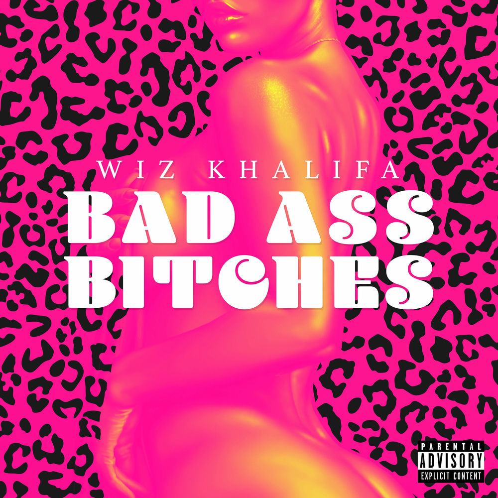 Fat Bitches (Freestyle) album art