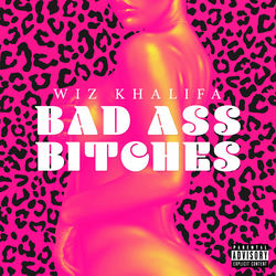 Fat Bitches (Freestyle) album art
