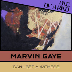 Can I Get a Witness [Album Version Stereo] [Version] album art