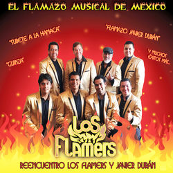 The Flame album art