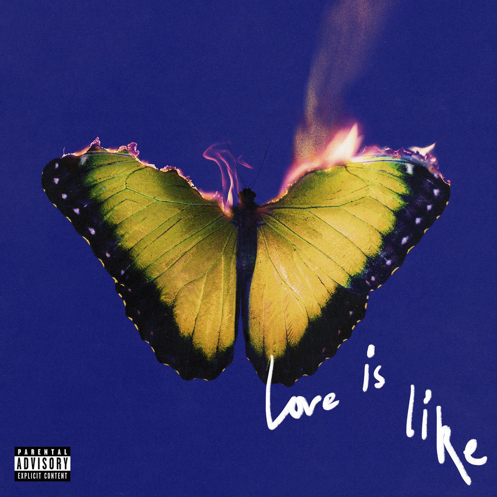Closer album art