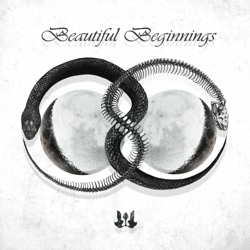Beautiful One album art