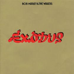 The Heathen album art