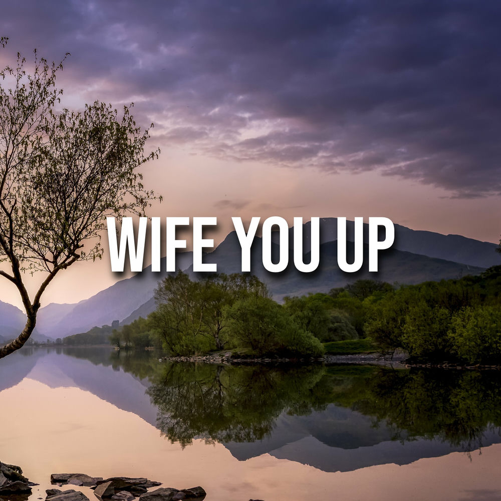 Wife You Up album art