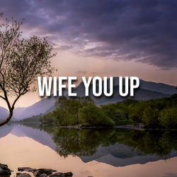 Wife You Up album art
