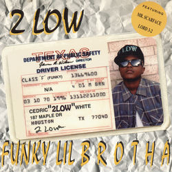 Funky Lil Brotha album art