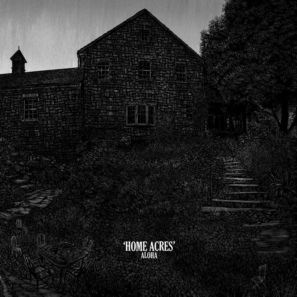 Microviolence album art